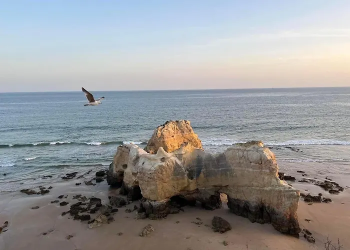 דירה Gm Premium *