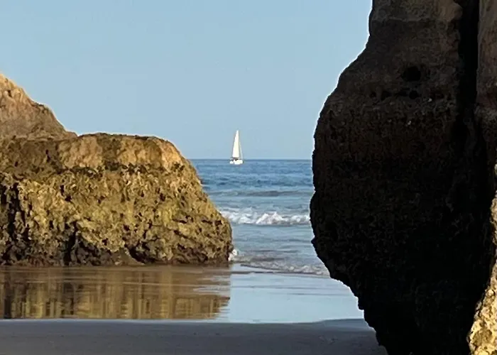 Gm Premium פורטימאו