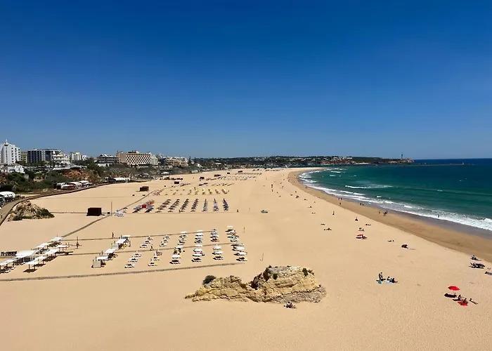 Gm Premium * פורטימאו