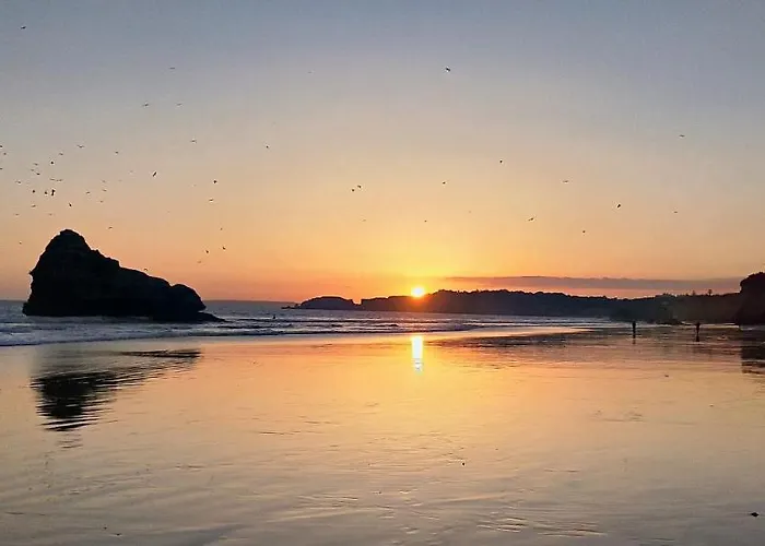 Gm Premium פורטימאו