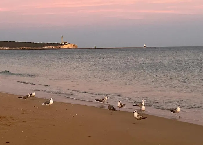 דירה Gm Premium פורטימאו