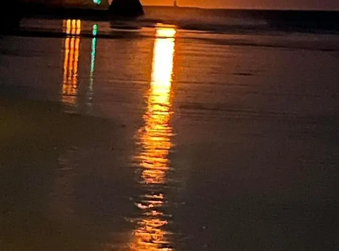 Gm Premium פורטימאו