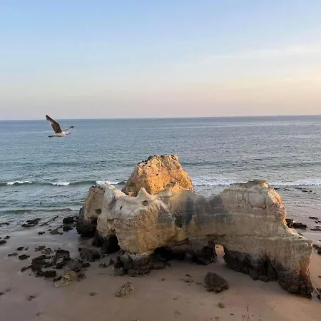 Apartament Gm Premium *