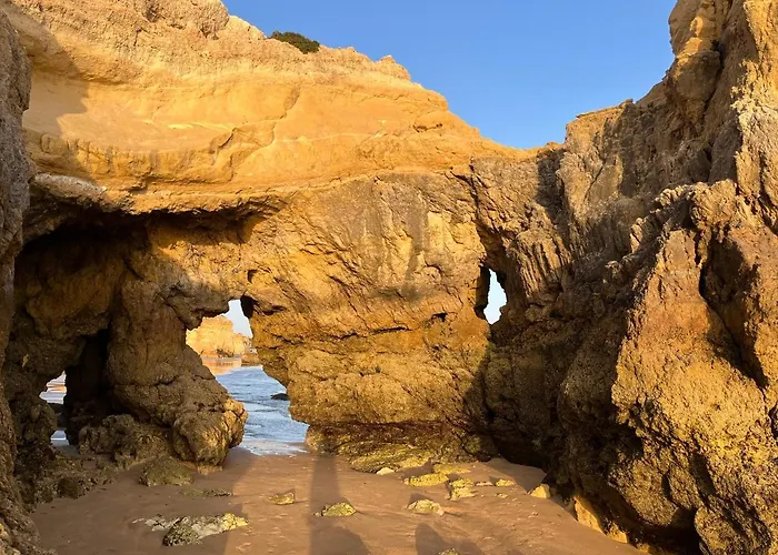 Gm Premium Appartement