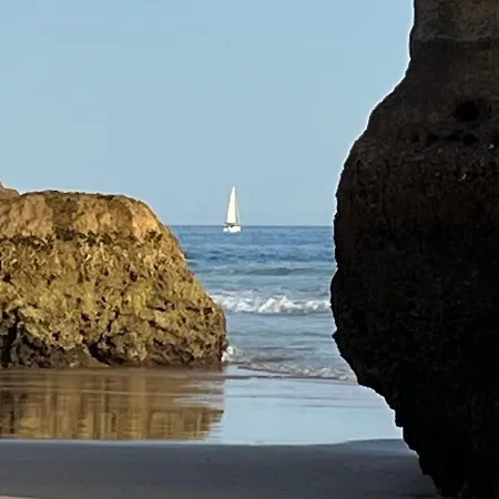 Gm Premium Портиман