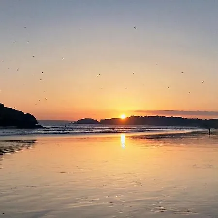 Gm Premium Портіман